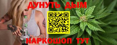 дмт Обь