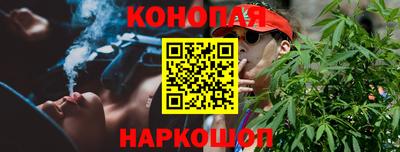 дмт Обь
